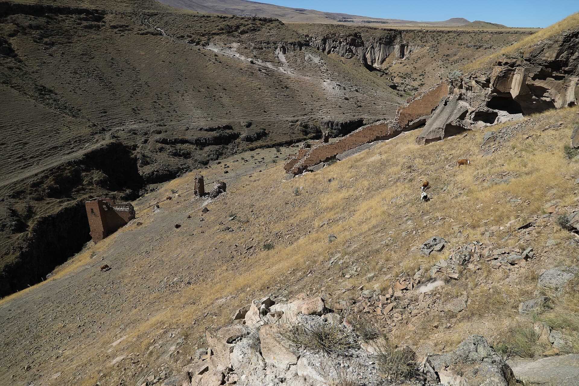 Ruined fortification walls of Ani's citadel above a deep river gorge