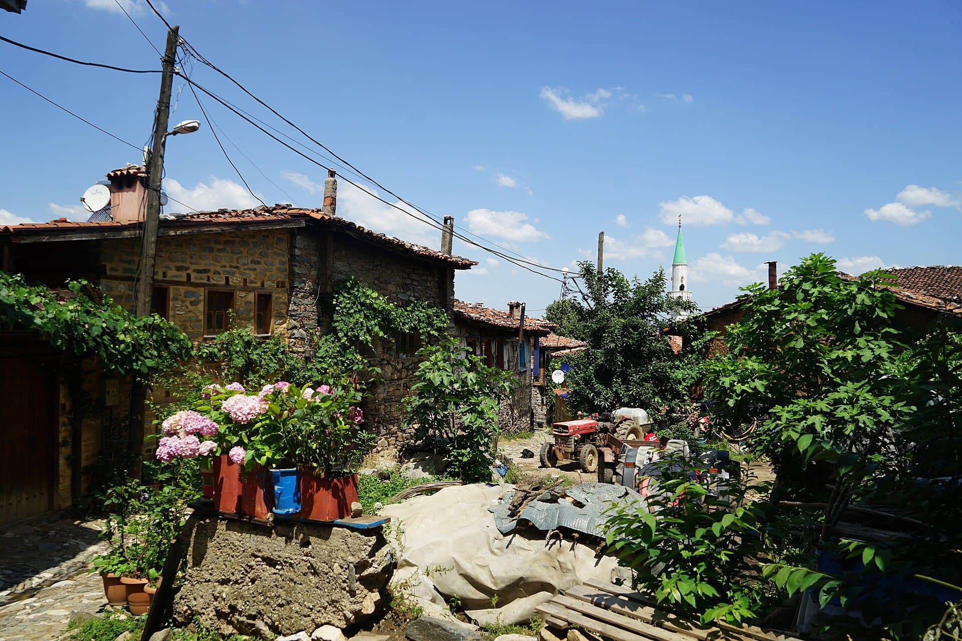 Sunlit view of traditional Ottoman-era houses and a minaret in Cumalıkızık village.