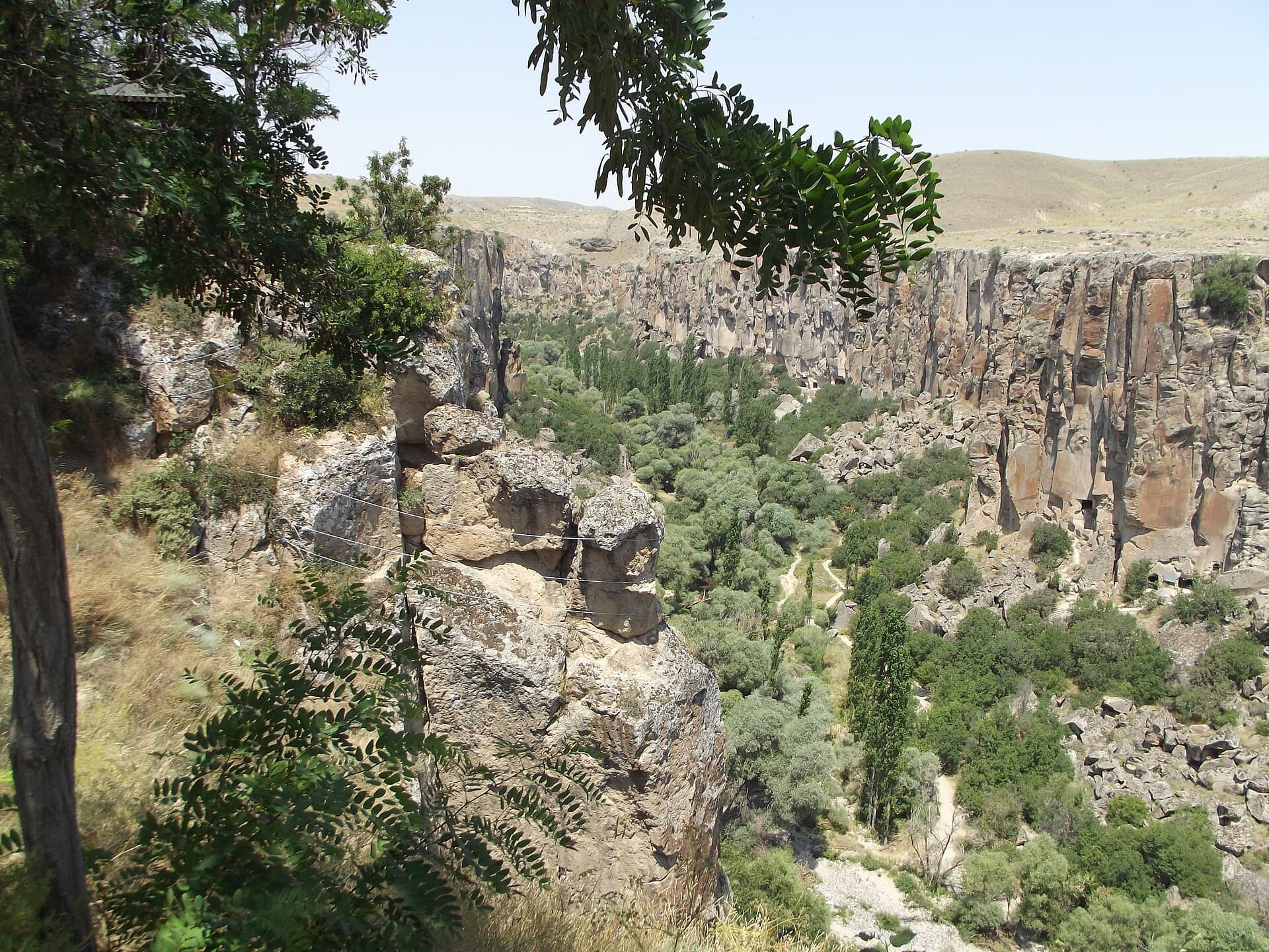 Aerial view down Ihlara Valley's deep green canyon in Cappadocia, with poplar trees lining the gorge floor between steep rock walls