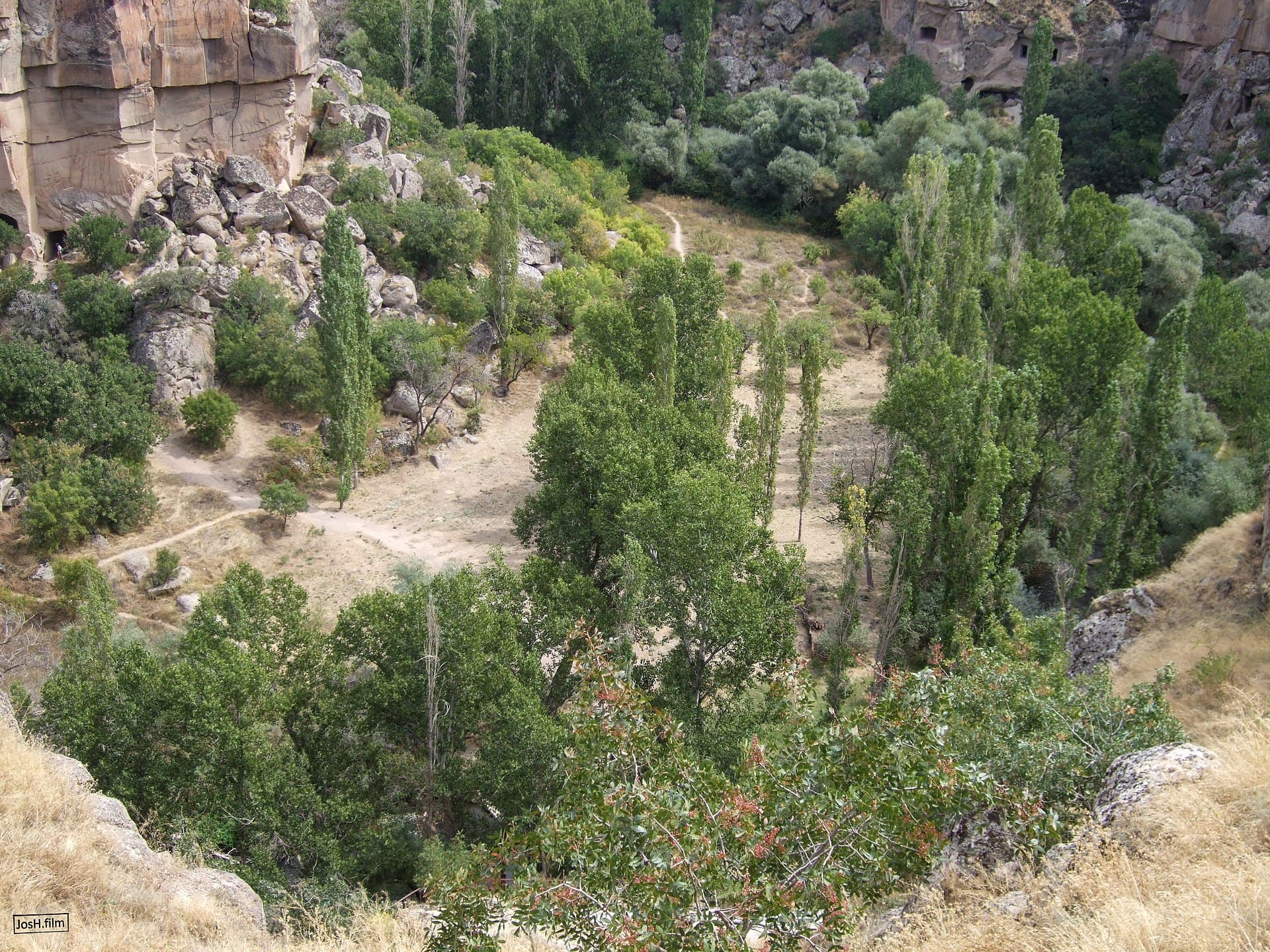 Elevated view of Ihlara Valley's green canyon floor with tall poplar trees, a footpath, and rock-cut cave openings in the cliff walls