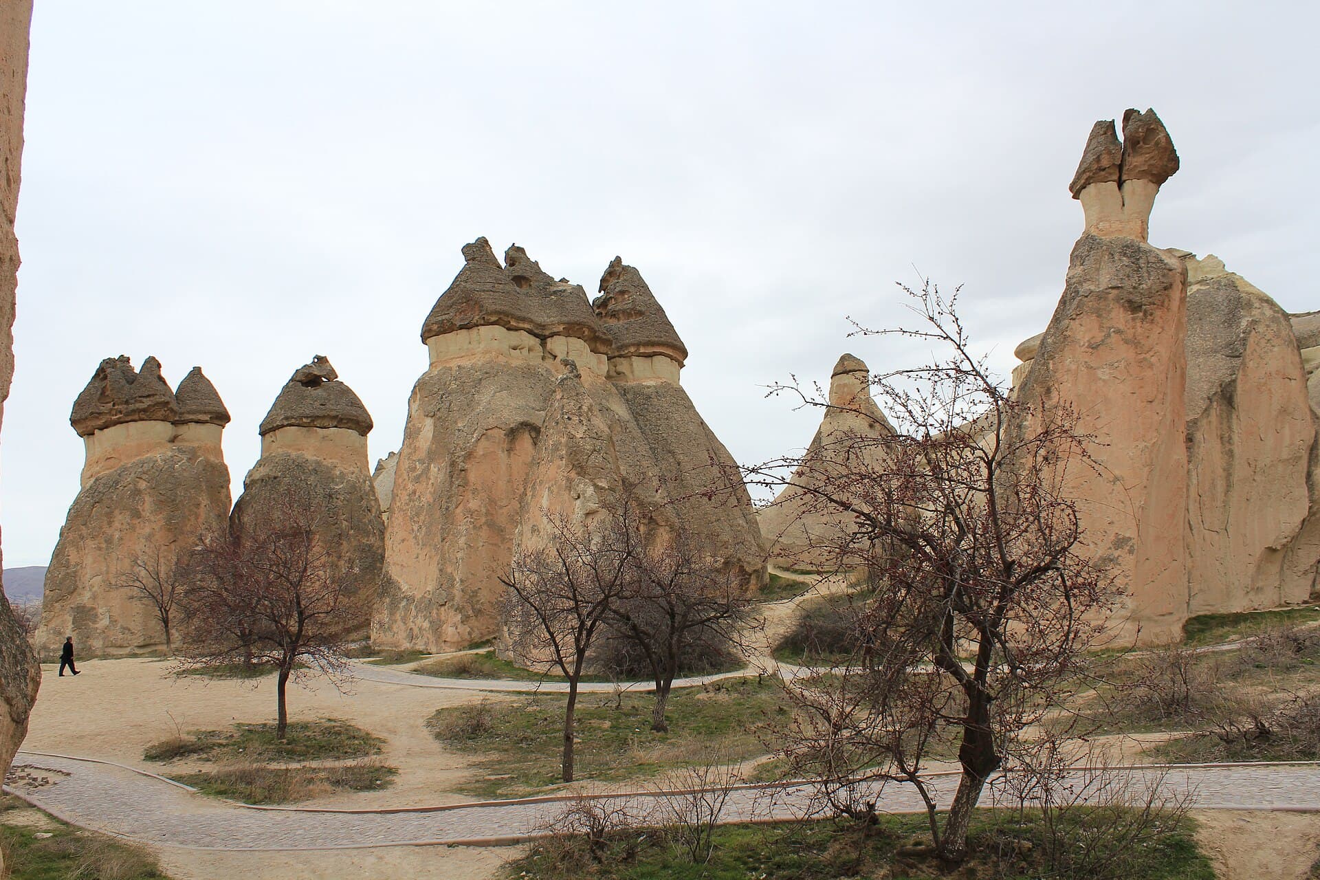 Multi-headed "mushroom" fairy chimneys lining a path at Paşabağ, Cappadocia