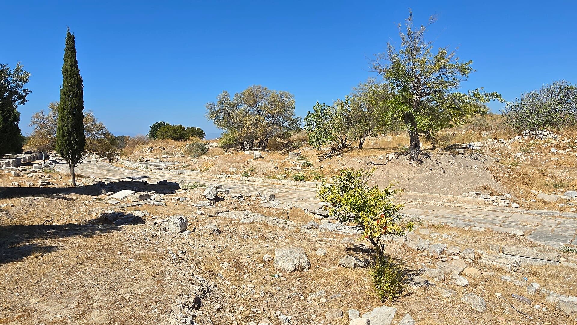 Excavated paved stretch of the ancient Sacred Way near Didyma temple.