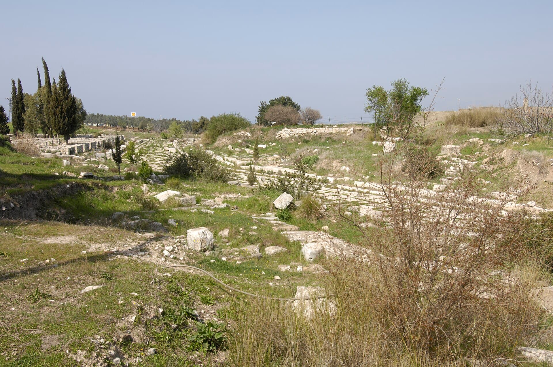 Sunlit ancient Sacred Way pavement leading toward the Didyma temple.