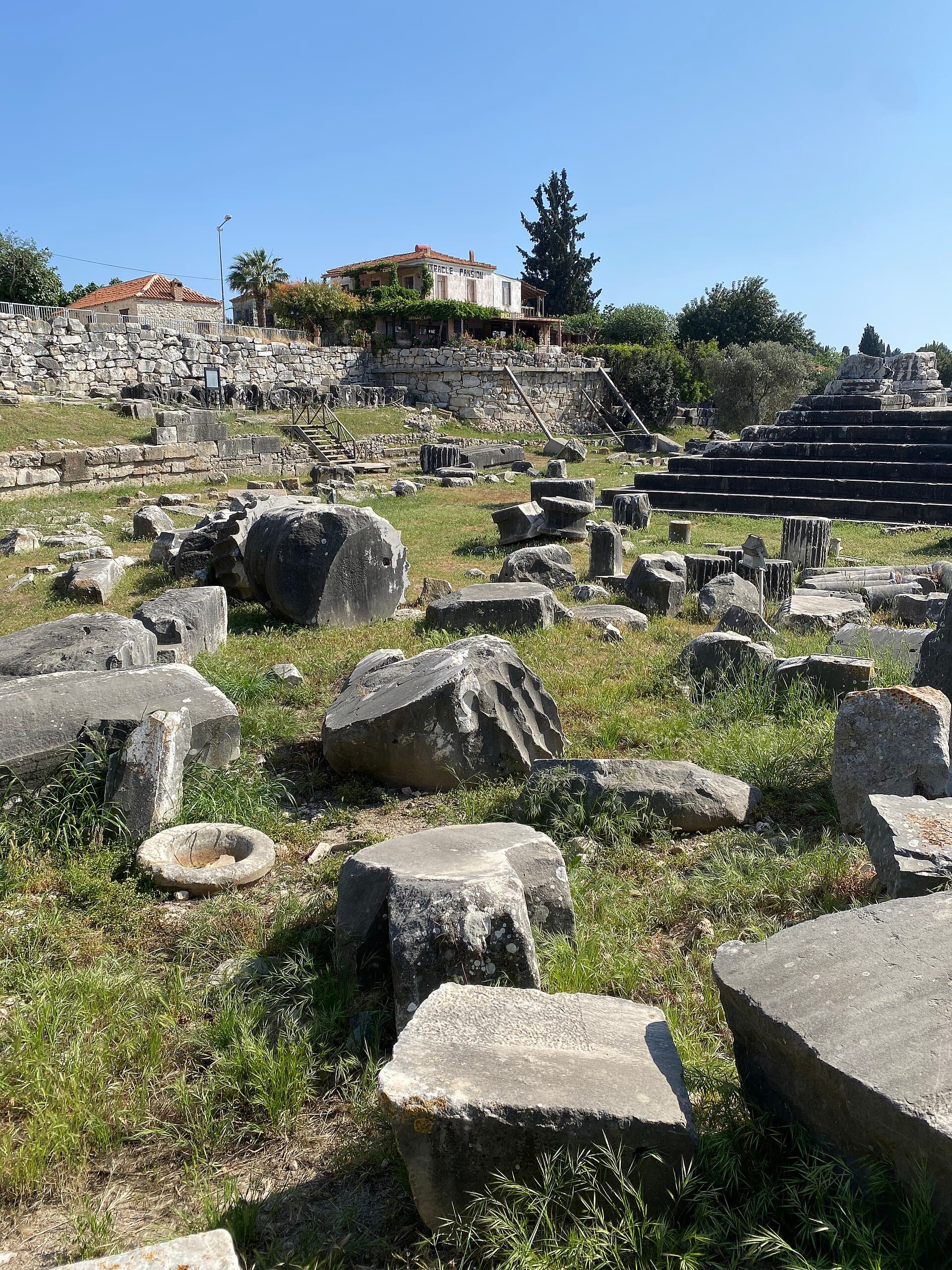 Sunlit standing Ionic columns of the ruined Temple of Apollo at Didyma.
