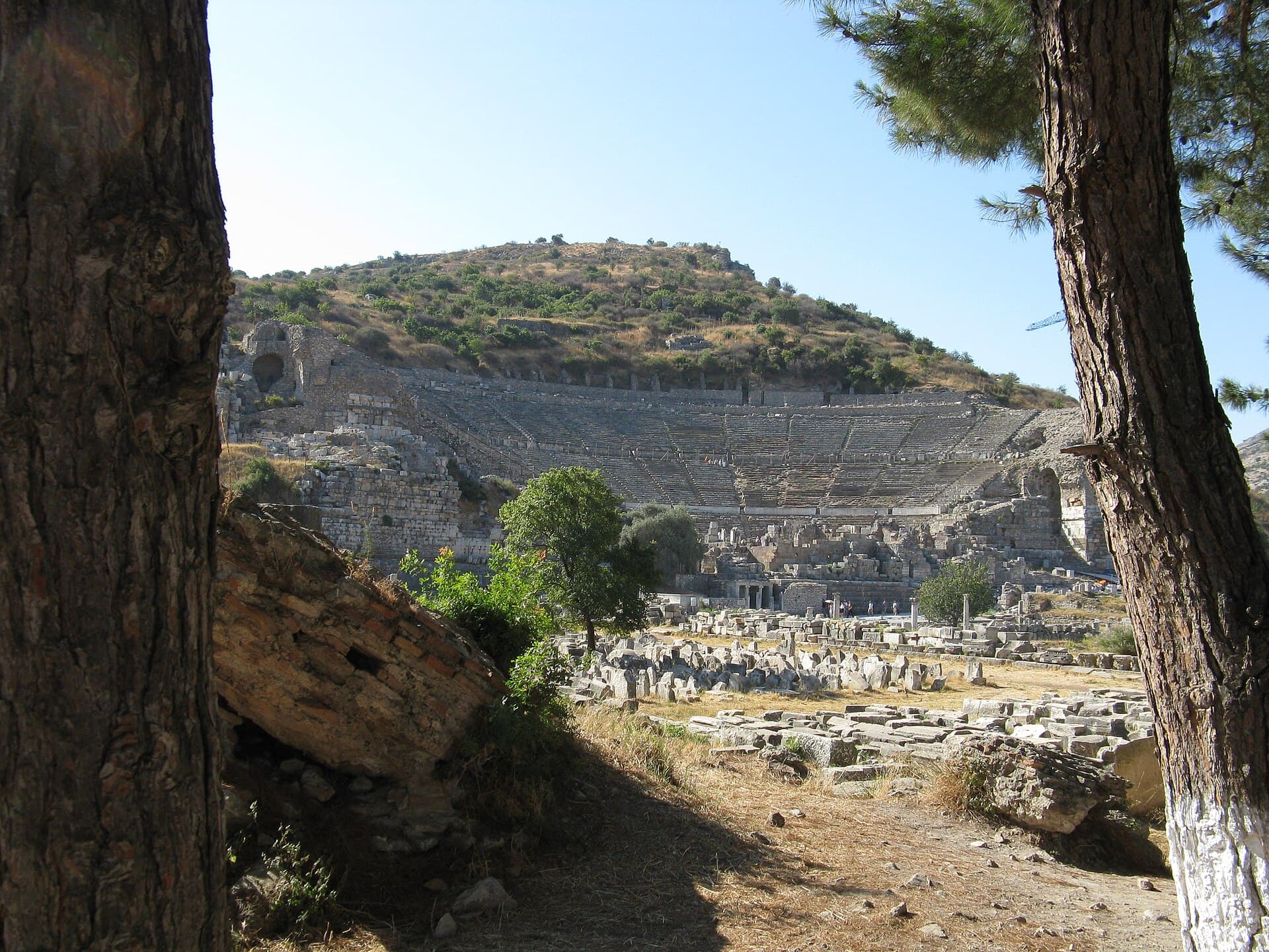 The Great Theatre of Ephesus seen from a distance across the archaeological site, its curved tiers of stone seating built into the hillside and framed between two pine trees in the foreground.