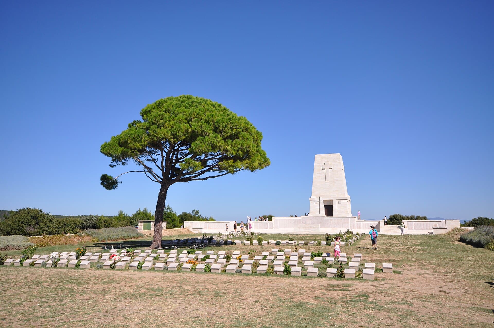 Aleppo pine tree, white memorial obelisk, and cemetery headstones at Lone Pine