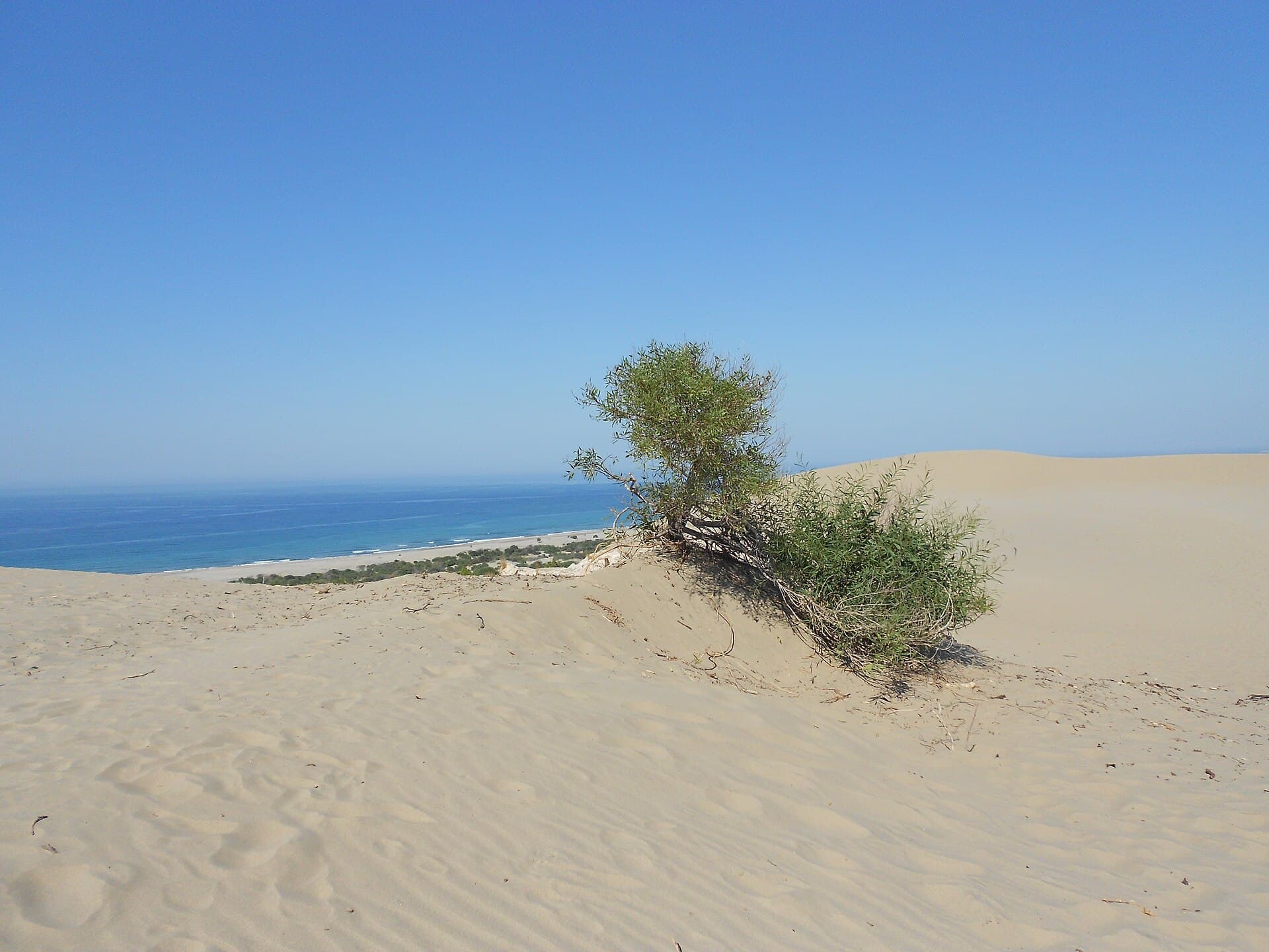 Patara's long open beach and sand dunes stretching along Türkiye's turquoise coast.