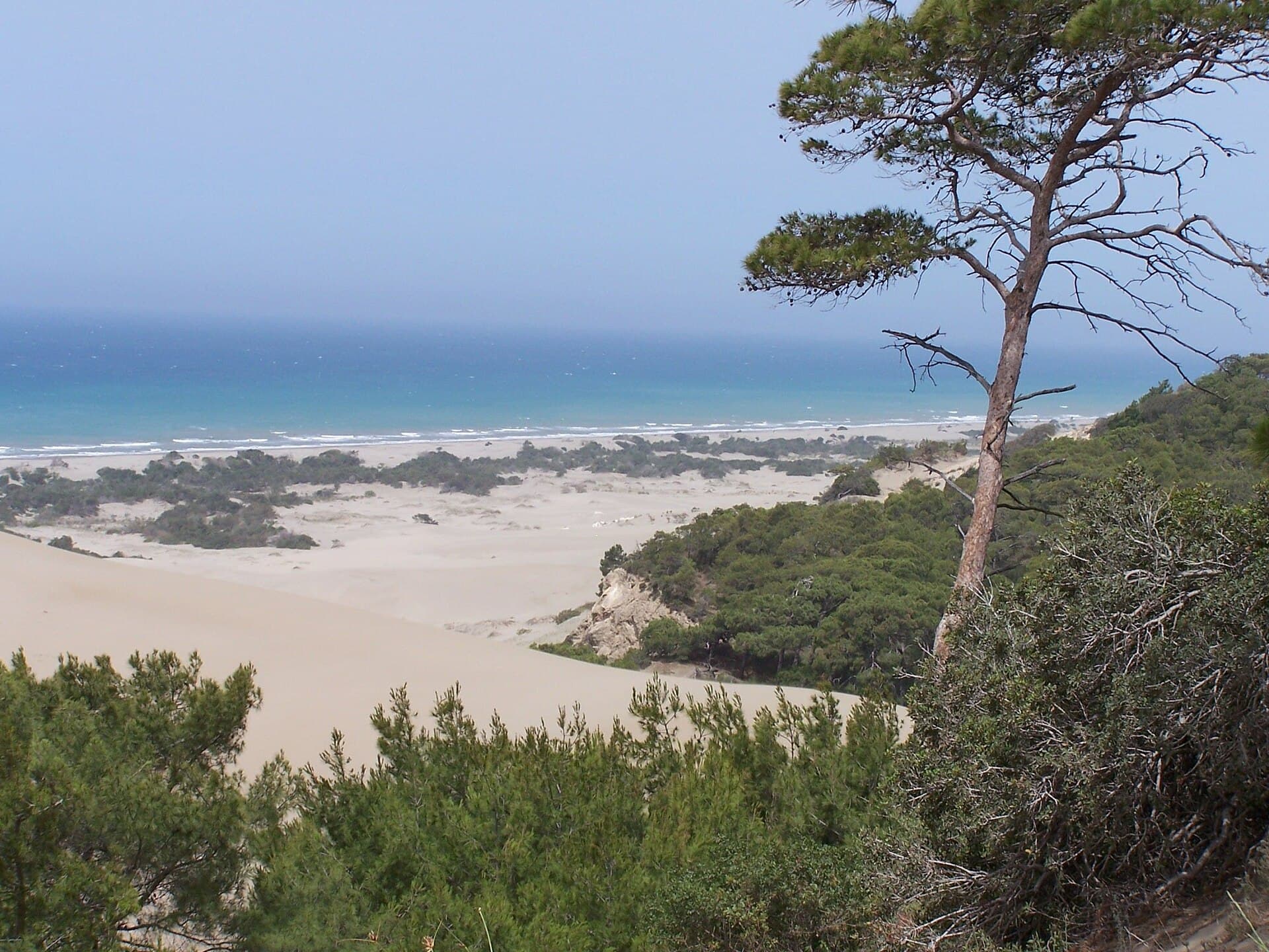 Sunlit sand dunes rising above Patara's shoreline near Kaş, Türkiye.