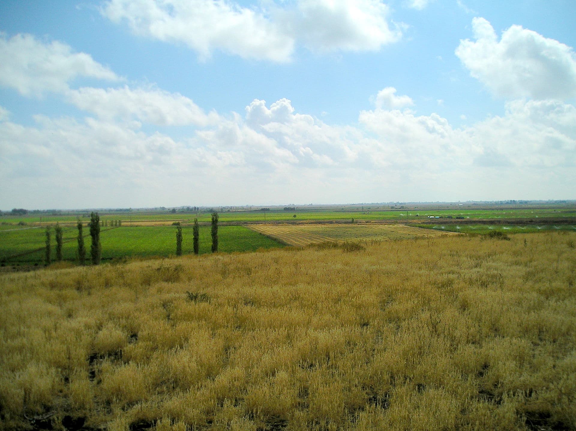 Open agricultural plain surrounding the Çatalhöyük mound under a bright sky.