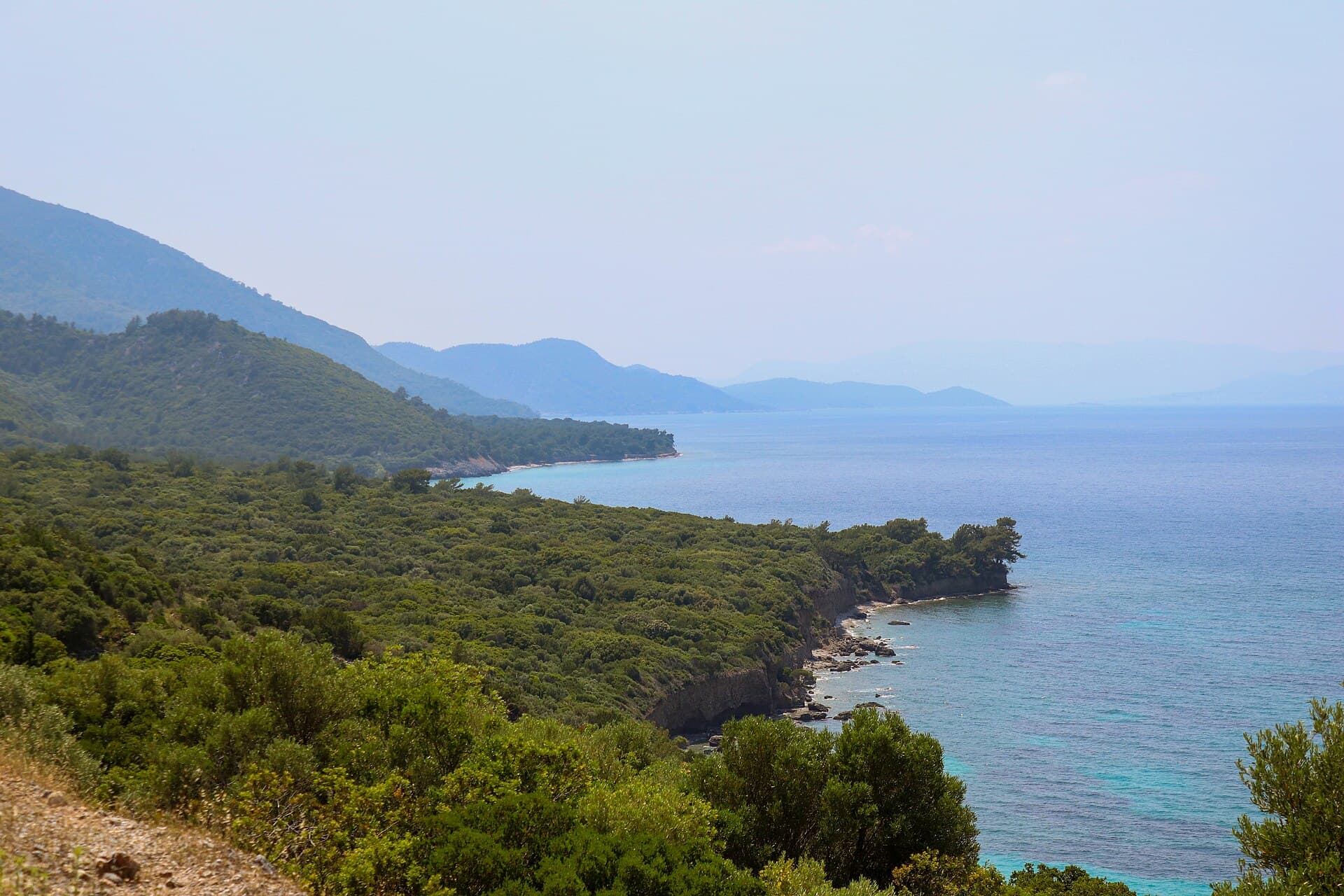 View along the forested coastline of Dilek Peninsula National Park, where a pine-covered mountain ridge drops into the turquoise Aegean Sea, with hazy headlands receding into the distance.