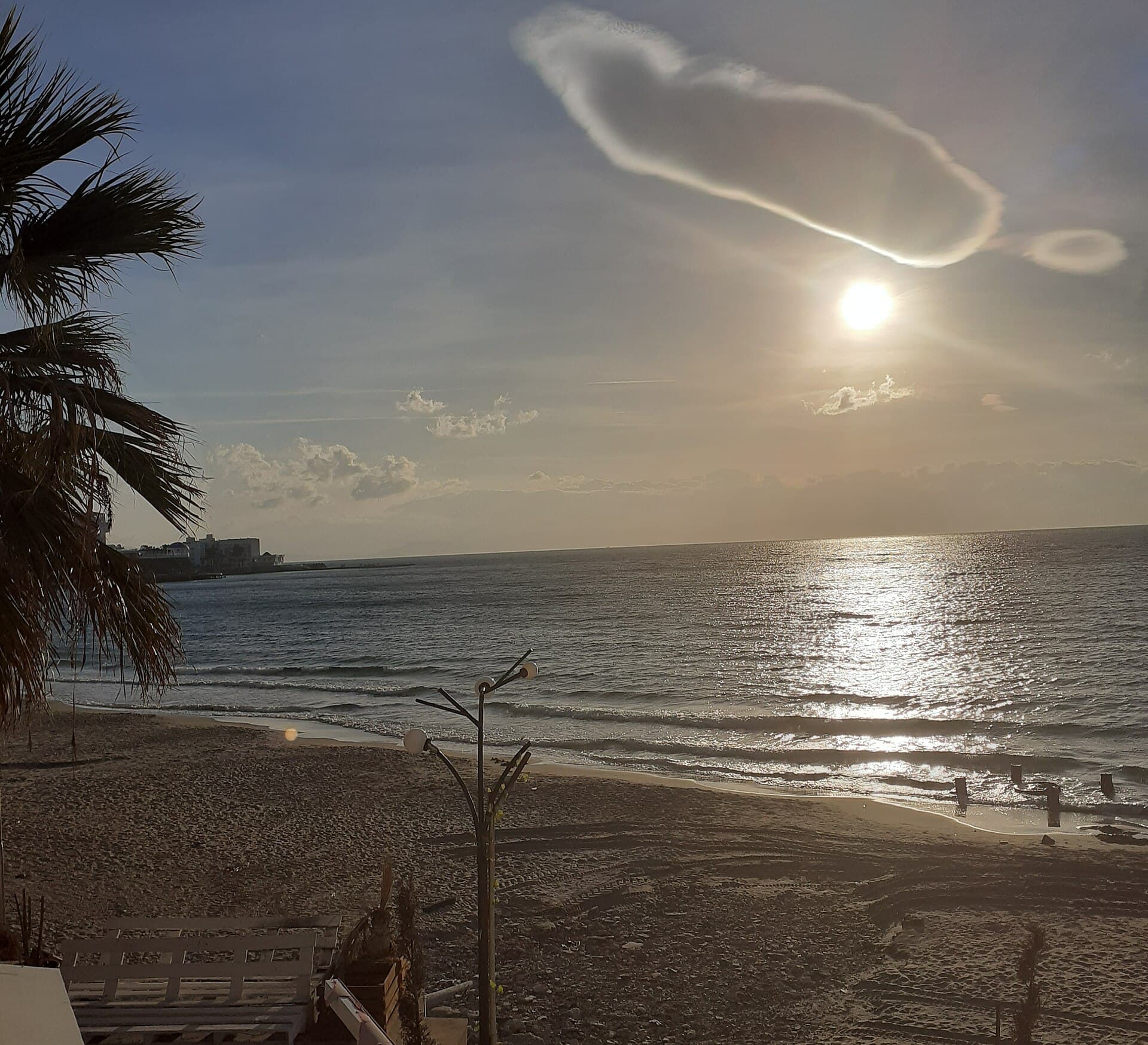 Golden-hour view over the sandy shore of Ladies Beach (Kadınlar Denizi) in Kuşadası, with a palm tree in the foreground, gentle waves reflecting the low sun, and the town silhouette visible across the bay.