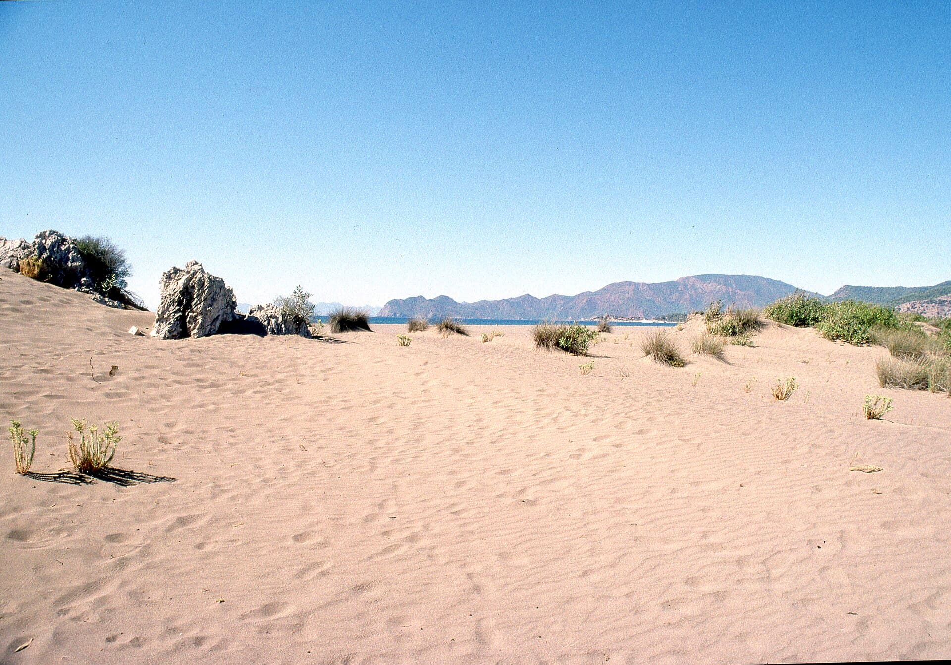 Sandy dunes and scrub at İztuzu Beach with mountains rising beyond