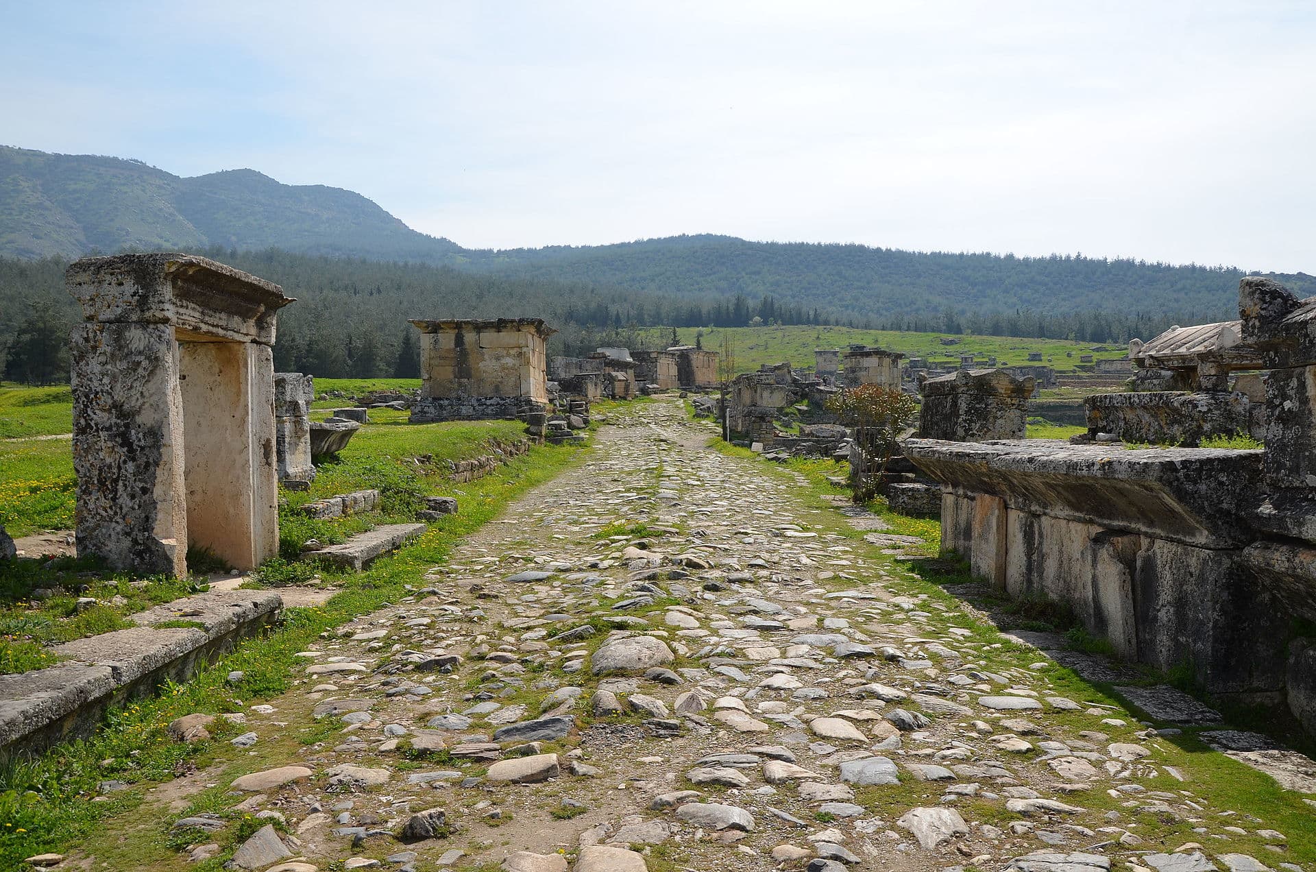 The paved ancient road through the Northern Necropolis of Hierapolis, lined on both sides with stone tombs and a massive lidded sarcophagus, with rows of tombs receding toward pine-covered hills.