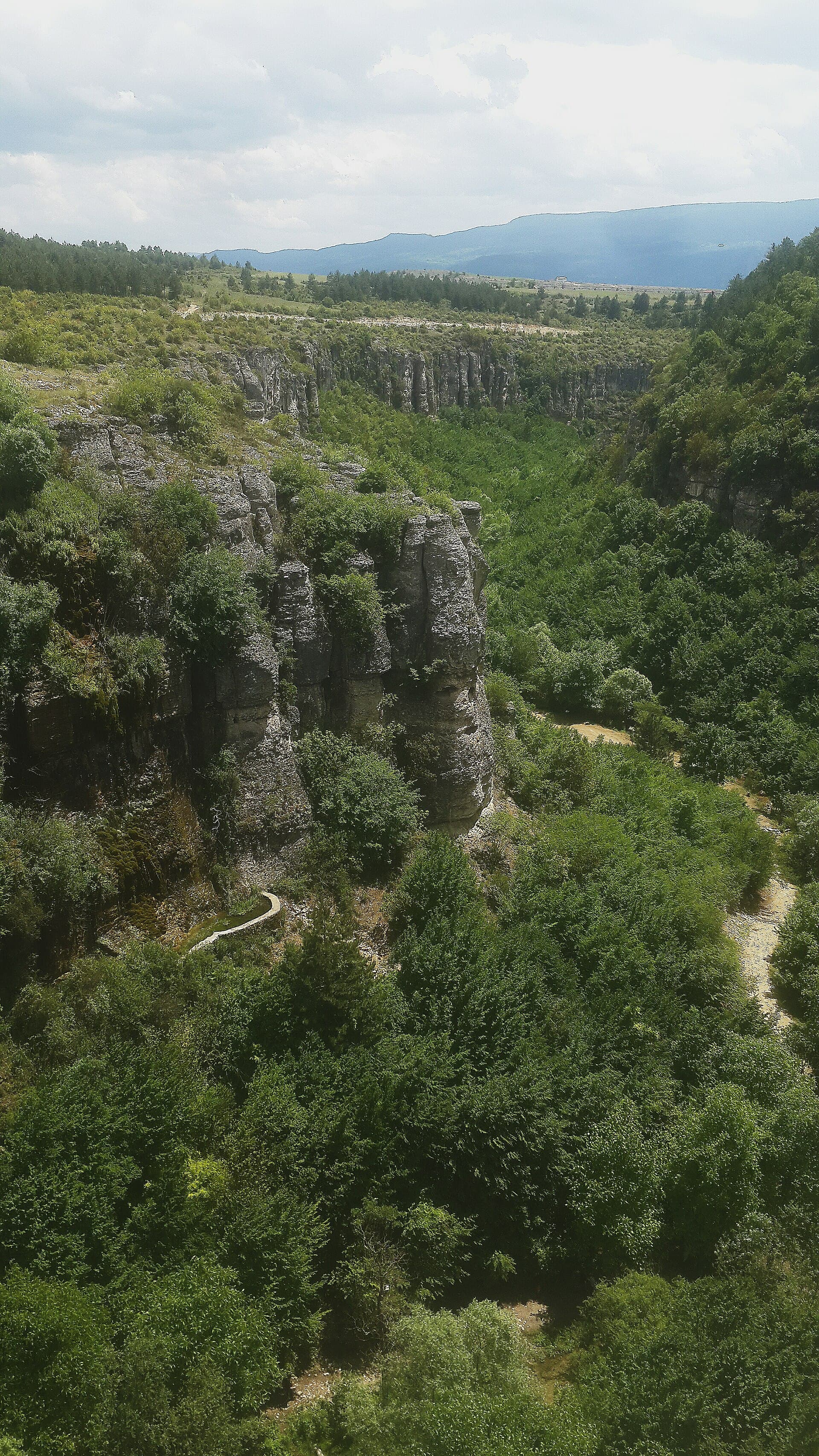 Steep limestone cliffs and green forest of Tokatlı Canyon near Safranbolu.