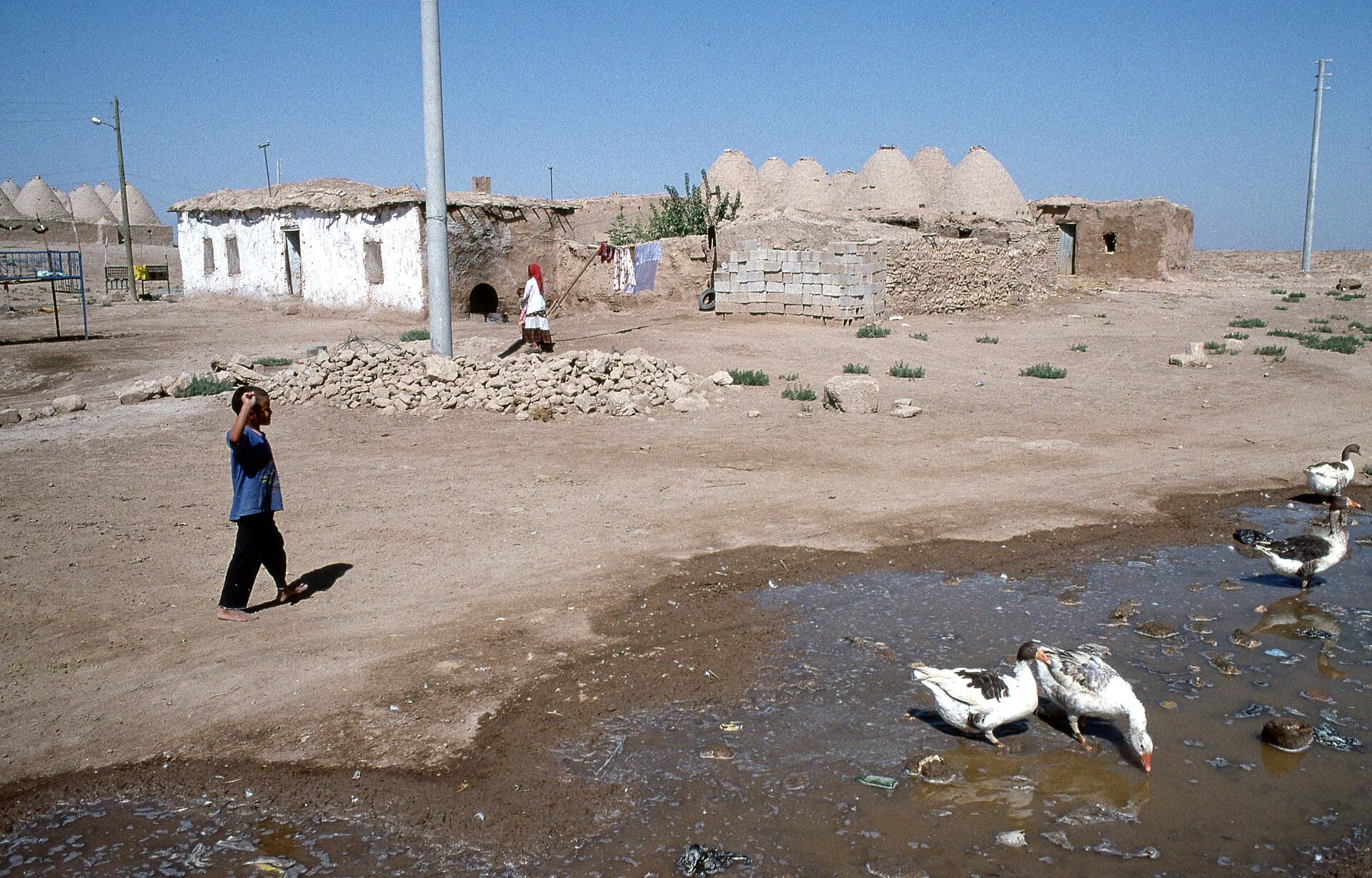 Cluster of Harran's traditional conical mudbrick beehive houses under open sky.